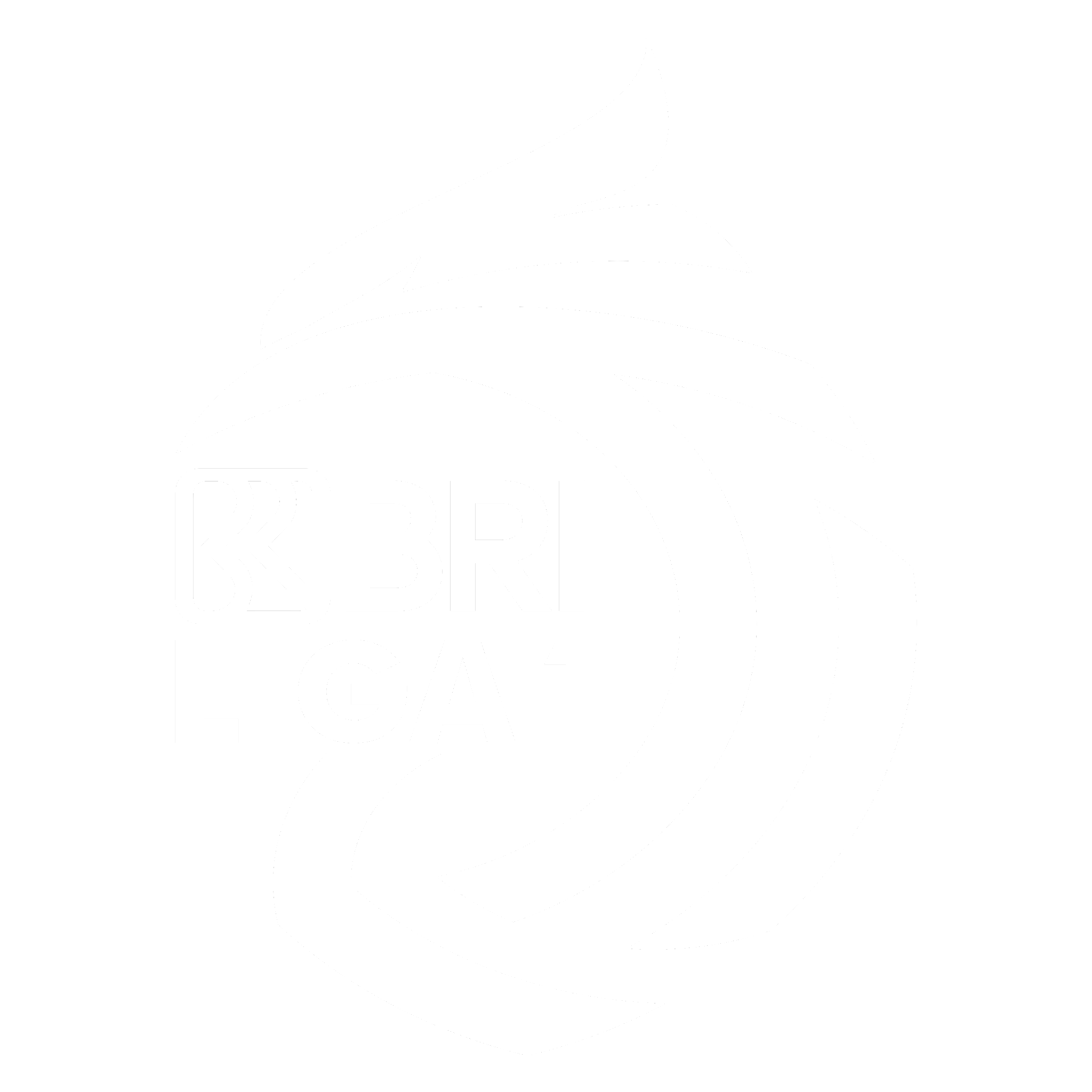 Logo BRI Liga 1
