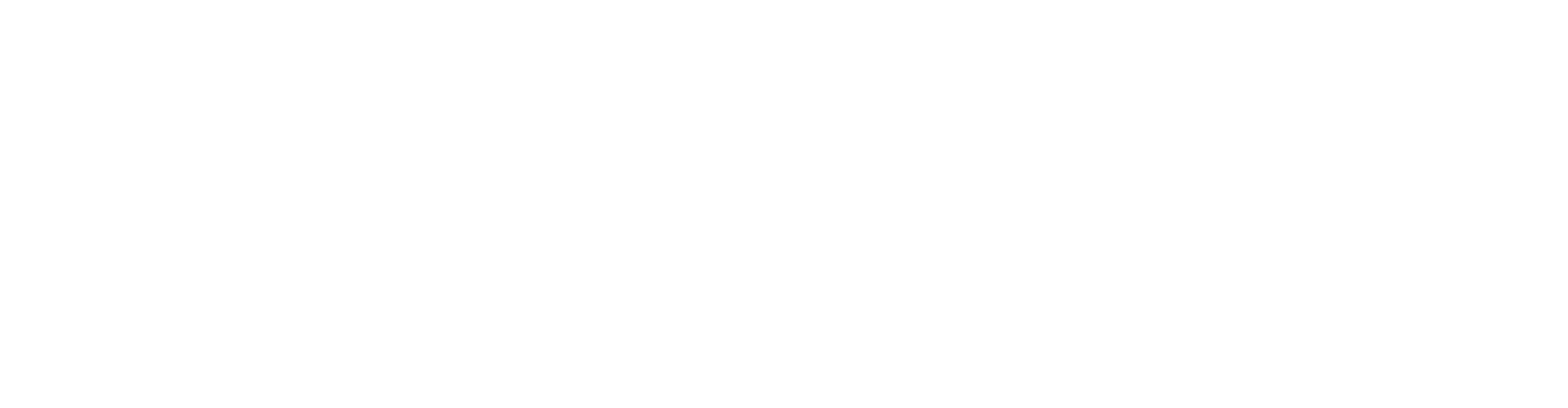 Persib Apps logo